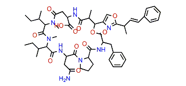 Discokiolide C